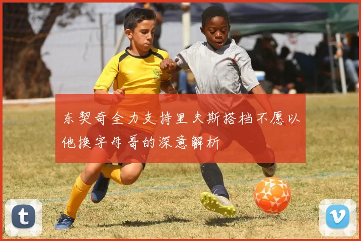 东契奇全力支持里夫斯搭档不愿以他换字母哥的深意解析