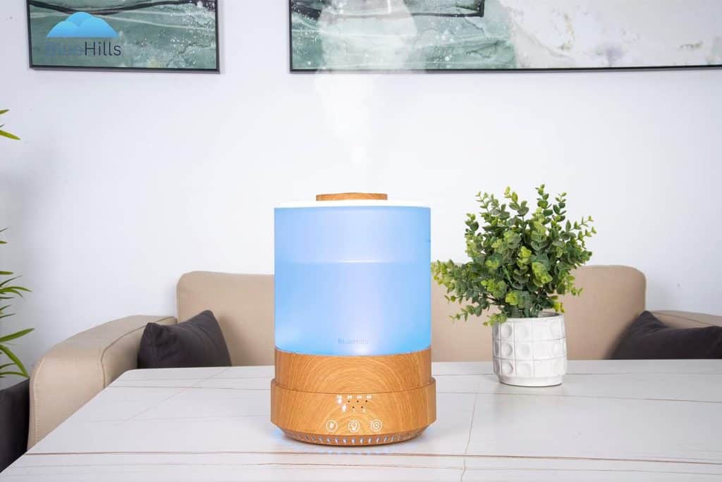 BlueHills Premium Set of Two Large Diffusers Review Serene Swag